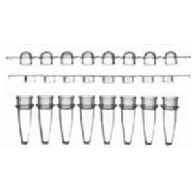 Ultrastrip: 8 PCR-cups 0,2ml with attached domed cap 