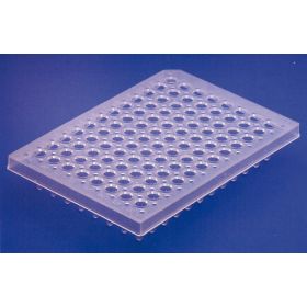 Plate Thermo-Fast 96-well PCR,non skirted, natural