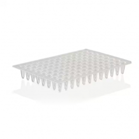 PCR plate Thermo-Fast 96-well low profile