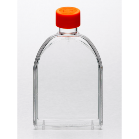 Corning® TC cell culture flask 75 cm² + vent cap, canted neck
