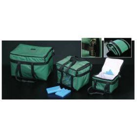 Deltalab Isothermal bag 6 L green