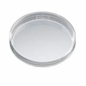 Petri dish Falcon 35x10mm,with Easy grip lid