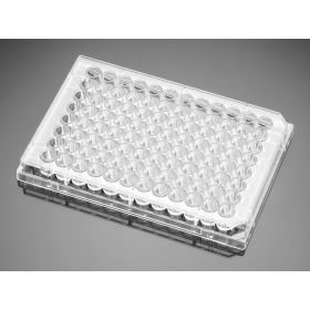 Falcon TC 96-well plate, flat bottom + lid, sterile