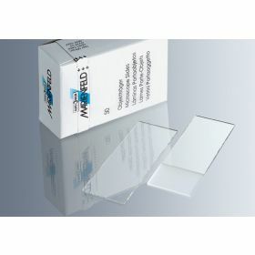 Slide with frosted end -  cut edges 