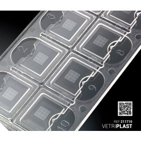 Vetriplast-10 - counting chamber for urine sediments
