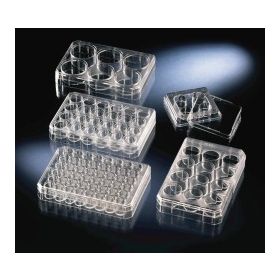 24-well plate (1ml) non-treated flat PS + lid ST/1