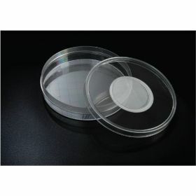 SPL Insect breeding dish PS 50x15mm + ventilationcap 13,2mm
