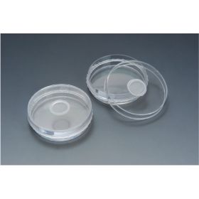 SPL Insect breeding dish PS 90x15mm + ventilation cap 40mm