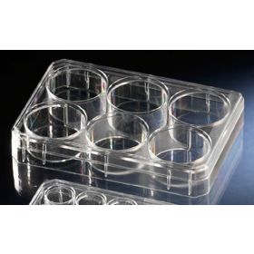 6-well plate (1ml) non-treated flat PS + lid ST/1