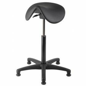 Sitis Sela - workshop chair