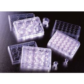 Cell culture insert with PET membrane - pore 0,4µm - 24 well