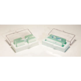 Cover glass 22 mm x 22 mm NX