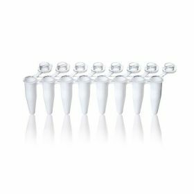 PCR strips 8 single caps standard white 0,2ml