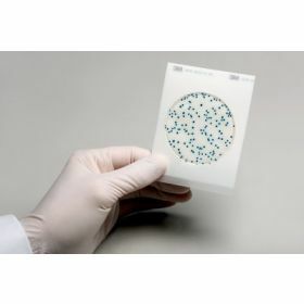 Petrifilm Neogen Yeast/Molds plate