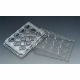 SPL 12-well plate PS 2 ml 3,8 cm², not treated, sterile