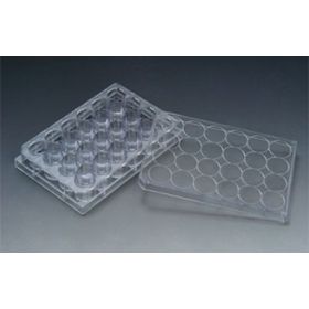 SPL 24-well plate PS 1 ml 1,9 cm², untreated, sterile
