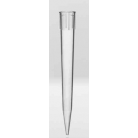 Nerbe Plus Tip - classic- 10ml - NS - bulk