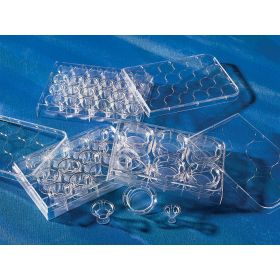 Transwell® membrane insert, diameter 12 mm, 0,4 µm pore size, PET, sterile