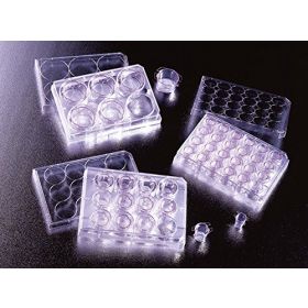 Falcon 23mm,8µm, 6-well, PET membrane insert, sterile