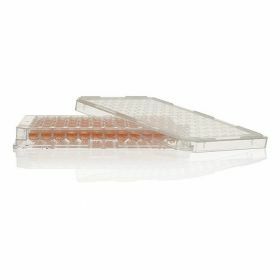 Nunc 96 MicroWell™ platen - vlakke bodem-deksel-ST