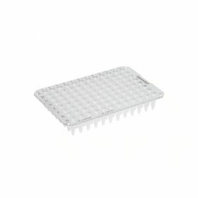 Twintec PCR Plate 96 wells, unskirted, 250 µl