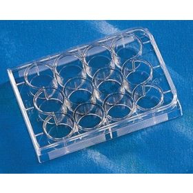 Costar® 12-well plate, non-treated, sterile/5