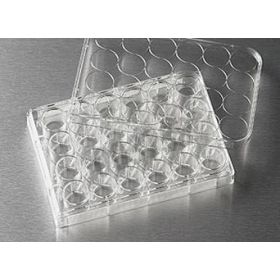 Costar®24-well plate, non-treated ST/5