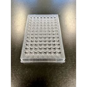 Microtiter plate U-bottom, non sterile