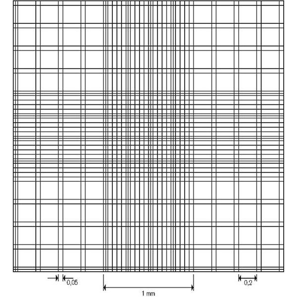 Cellule de numération Bürker-Türk