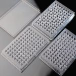 Lid for microplate, polystyrene, sterile R