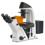 Kern OCM 165 inverse microscope trinocular