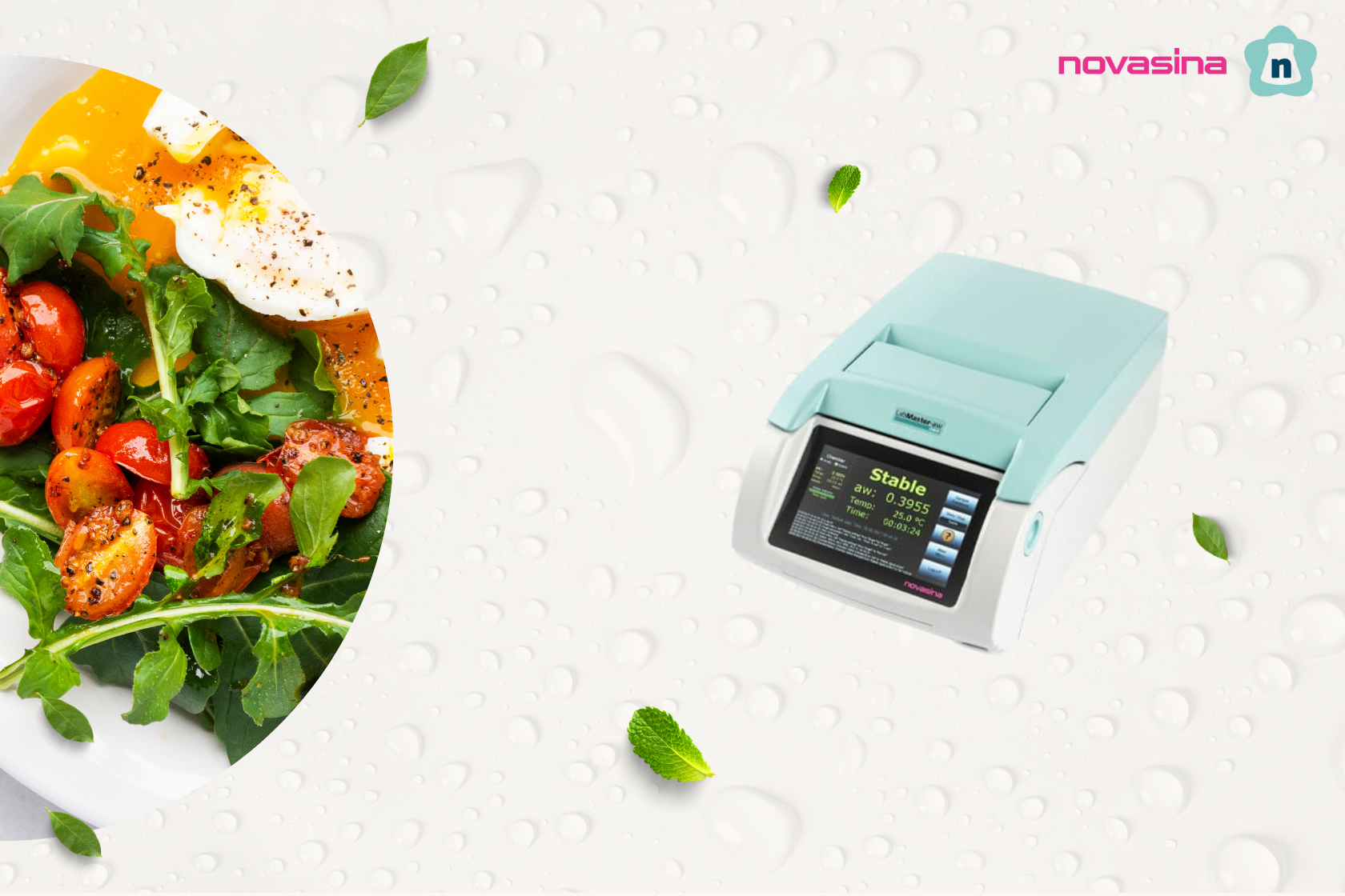 The importance of using a Novasina Aw-Meter in detecting Listeria in ready-to-use food products